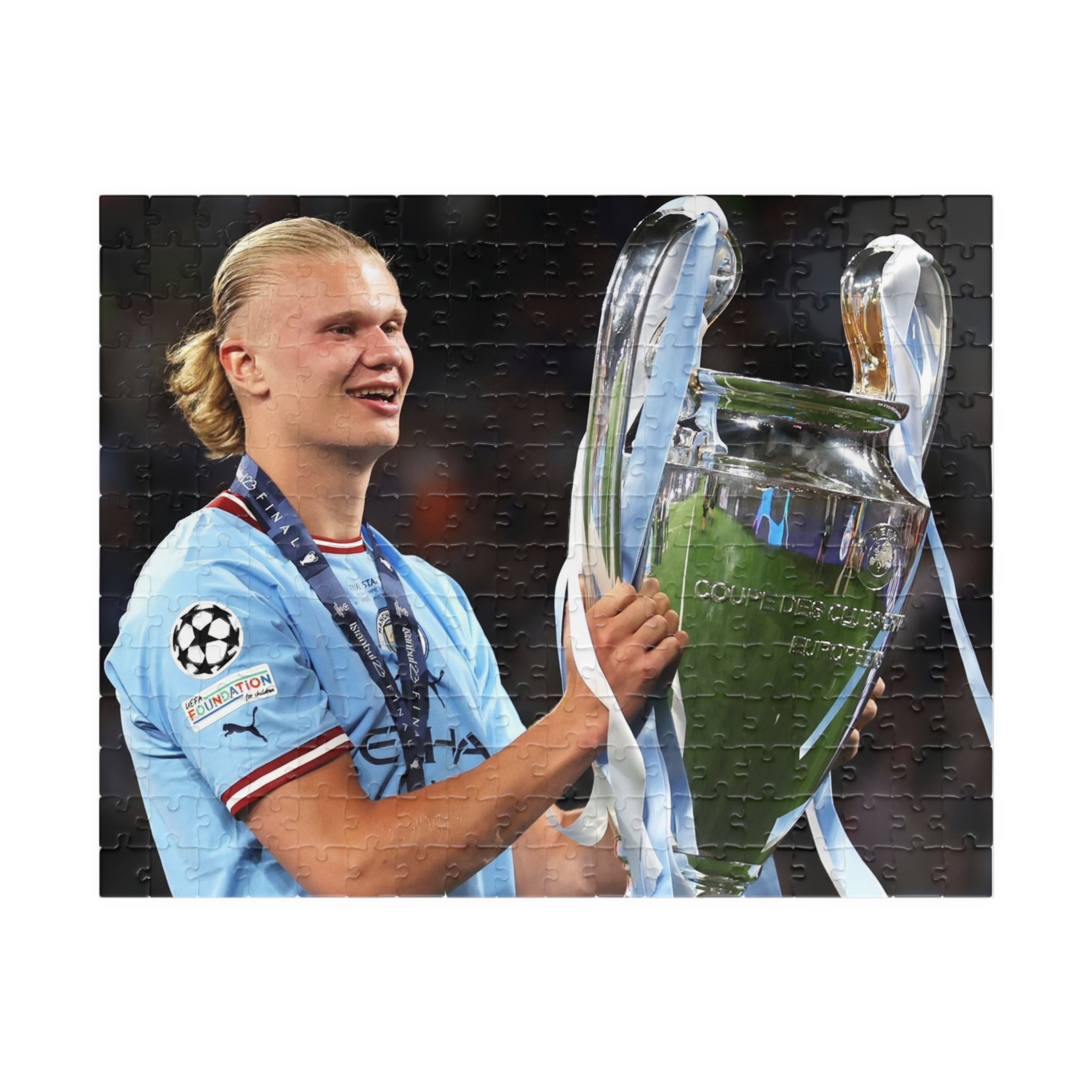 Erling Haaland Champion Trophy Soccer Puzzle — 252/520/1014‑Piece Football Jigsaw