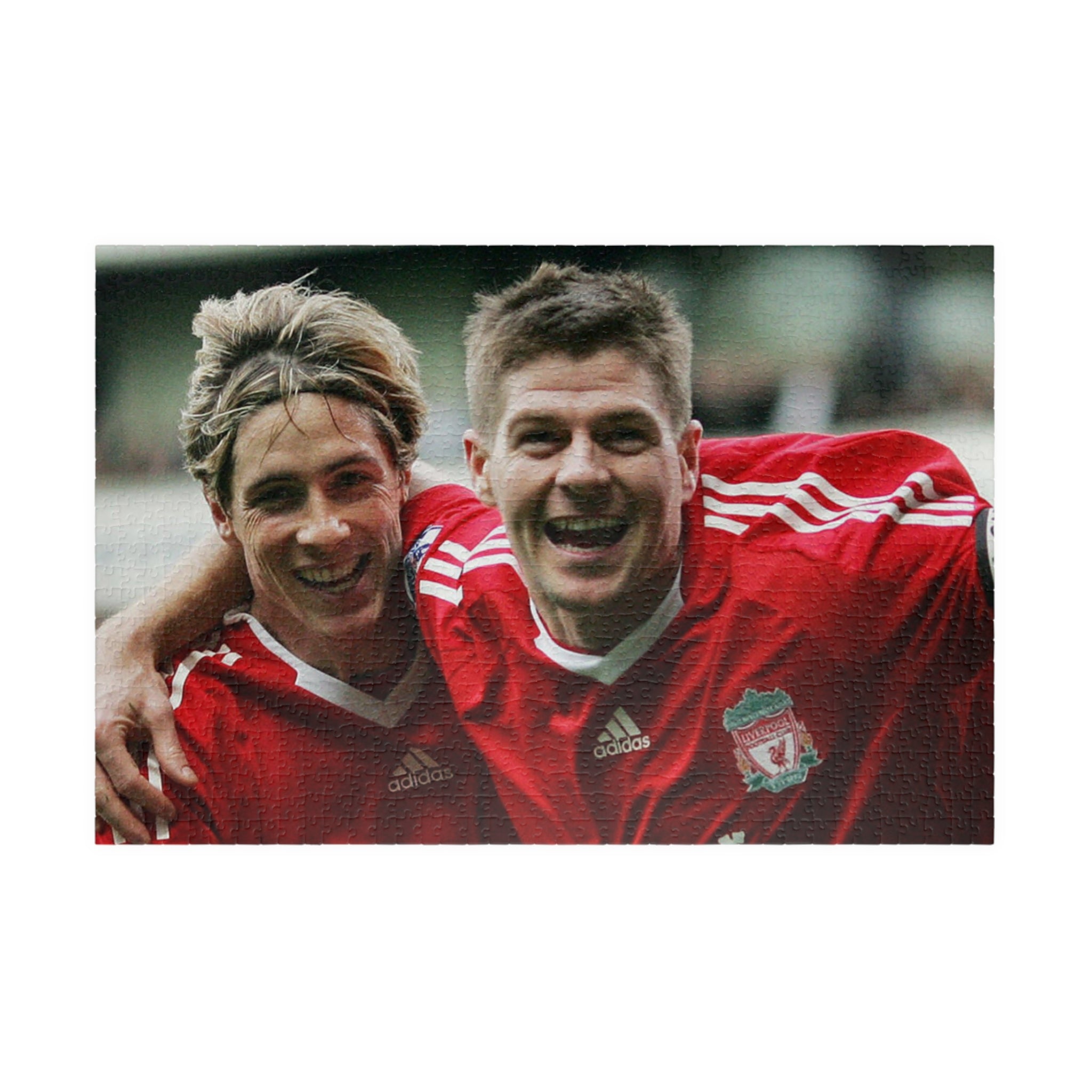 Steven Gerrard & Fernando Torres Liverpool Jigsaw Puzzle — Custom 110/252/520/1014-Piece